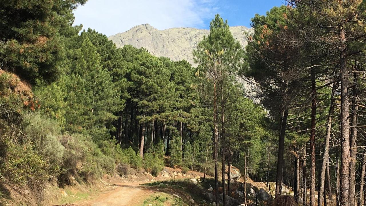 La Calleja Villarejo del Valle 外观 照片